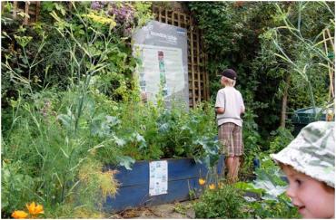 Incroyables comestibles